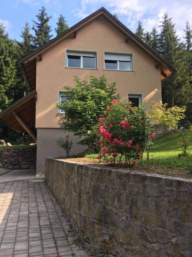 Apartmaji Velikonja Ajdovščina Екстериор снимка