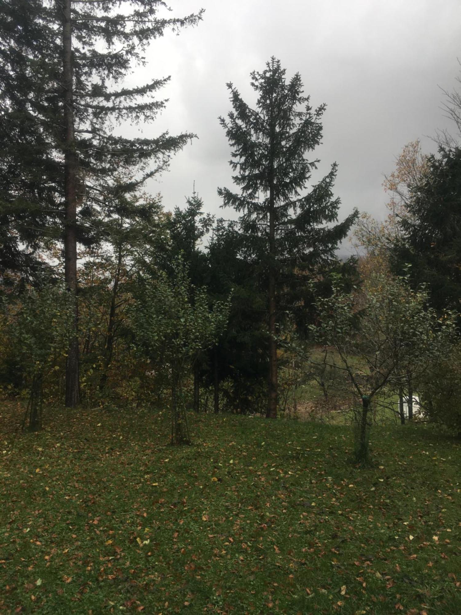 Apartmaji Velikonja Ajdovščina Екстериор снимка